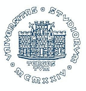 University Logo