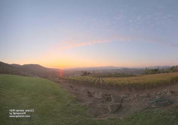 TM NapaValley Drago