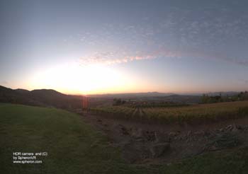 TM NapaValley Durand02