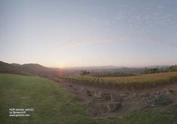 TM NapaValley Reinhard05