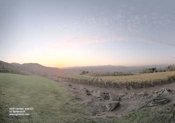 TM NapaValley Ward