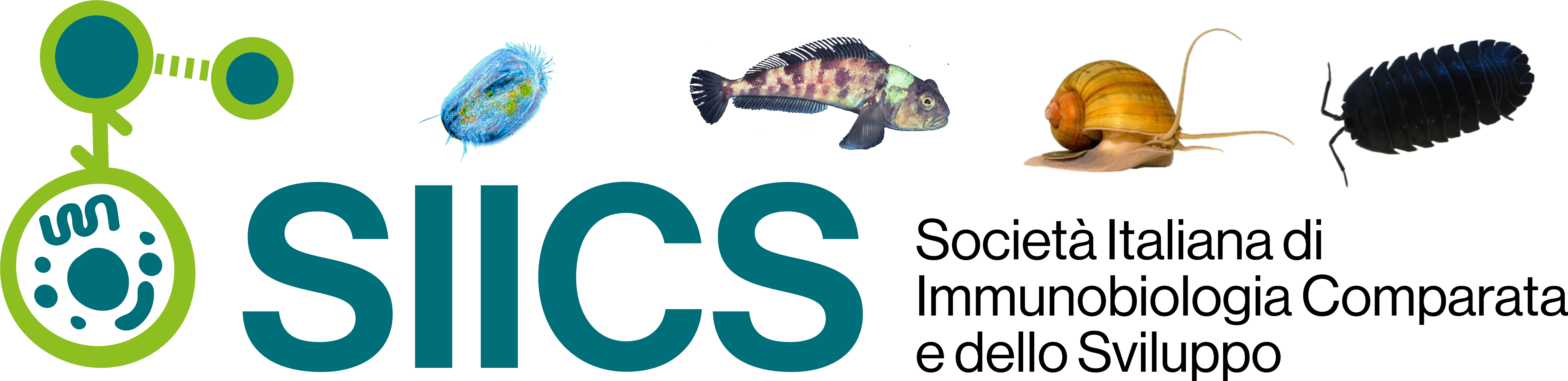 SIICS LOGO