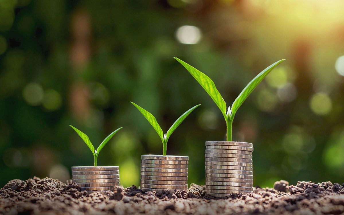 2nd Seed Funding call open