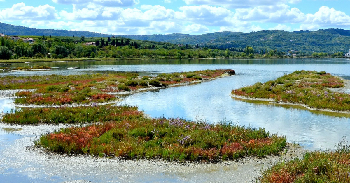 Koper nature reserve